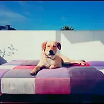 Lukita Cangas do Morrazo